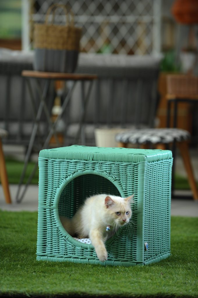 Manfaat Keranjang Hewan dari Rotan 2 MYLO 2 scaled e1708317304437