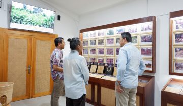 Cirebon sebagai Jantung Kerajinan Rotan Indonesia